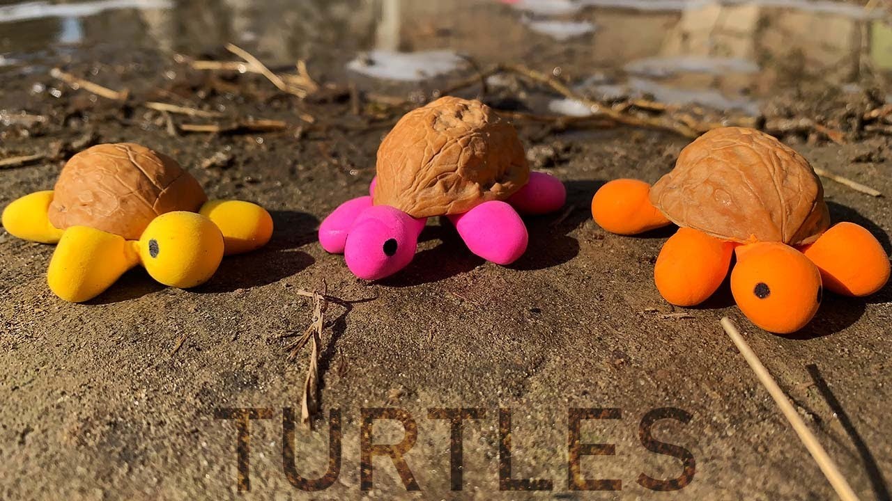 Beautiful DIY Turtles Craft Idea With Polymer Clay - Turtle Craft Ideas