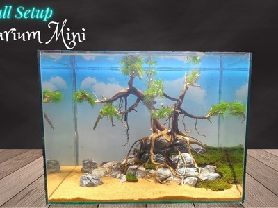 Techniques For Making An Aquarium Layout - Bonsai Tree Work With Rocks
