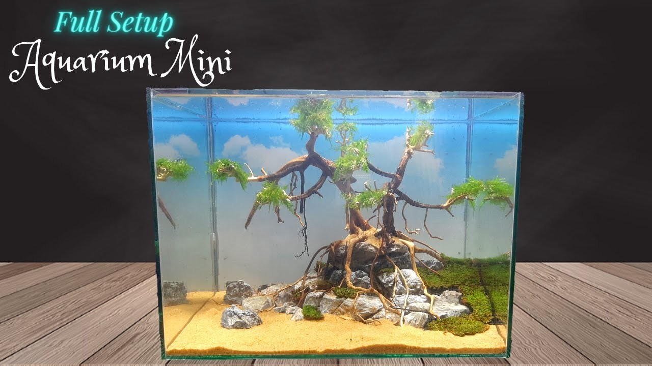 Techniques For Making An Aquarium Layout - Bonsai Tree Work With Rocks