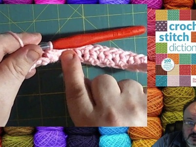 Crochet Lesson - Stitch Dictionary - Alternate Stitch I am using the Crochet Stitch Dictionary by Sa