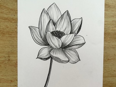 Easy Way to draw Flower. Lotus Pencil Sketch - Karthiyayini Art