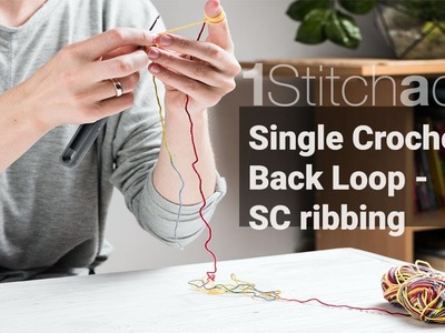 Single Crochet in Back Loop (Sc Ribbing) -  Learn 1 crochet stitch a day
