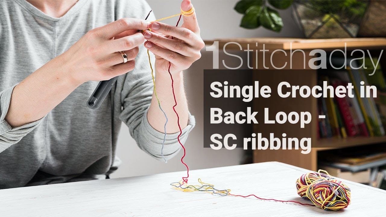 Single Crochet in Back Loop (Sc Ribbing) -  Learn 1 crochet stitch a day