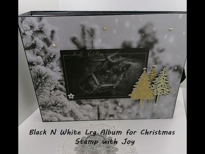 Large Black & White Christmas Album, pt 1