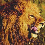 Lion Head Cross Stitch Pattern