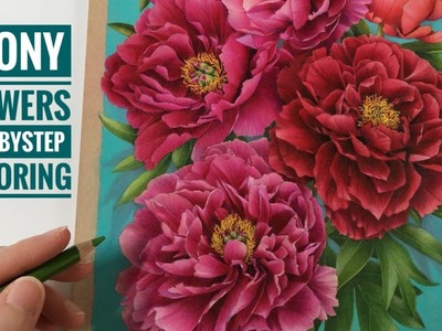 PEONY FLOWERS | Step by Step Coloring. Chris Cheng
