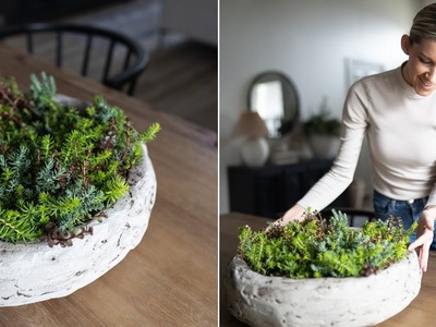 DIY STONE PLANTER POT for DINING ROOM TABLE. MOSS BOWL + SUCCULENTS & GREENERY
