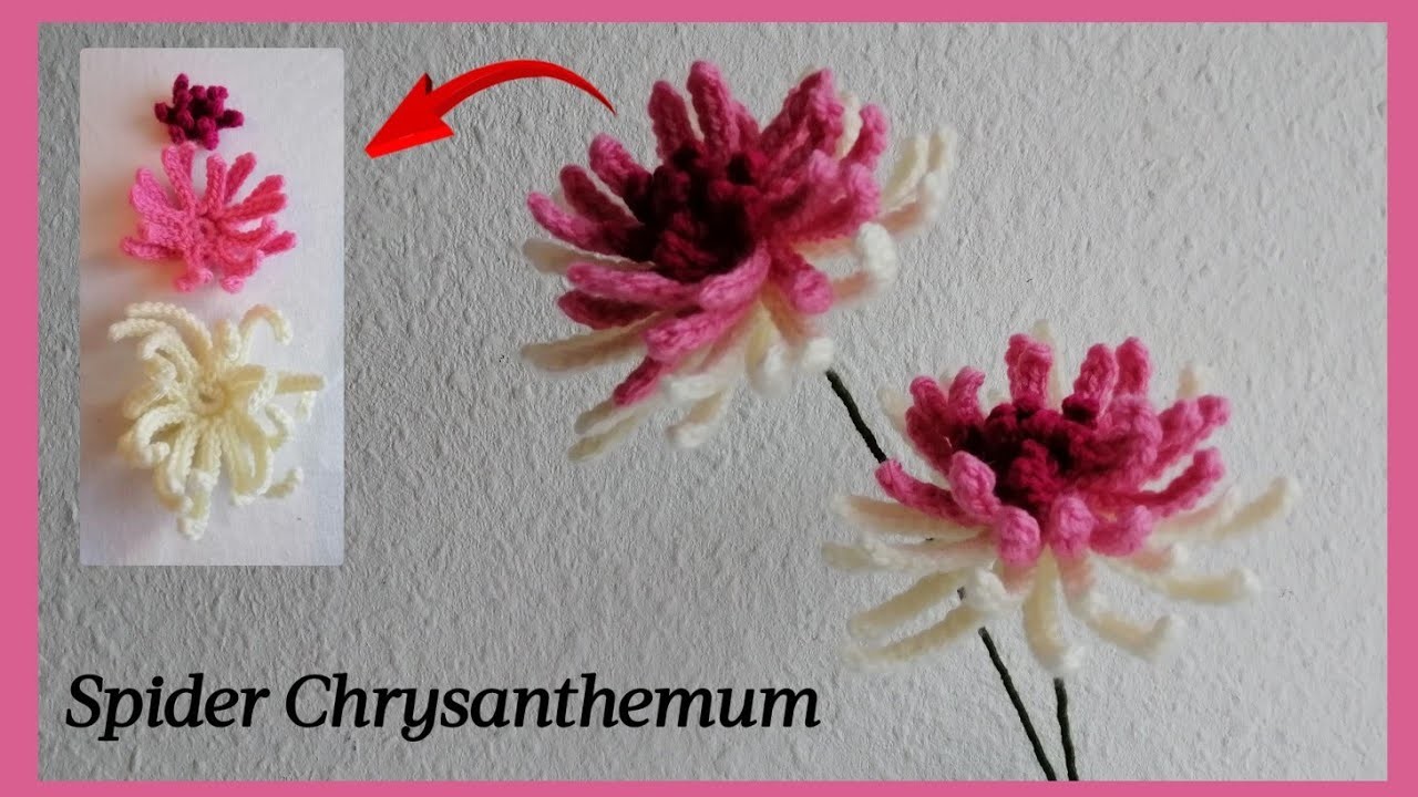 Crochet Spider Chrysanthemum flowers