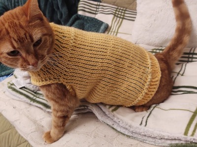 Crochet a cat sweater using the Tunisian knit stitch!