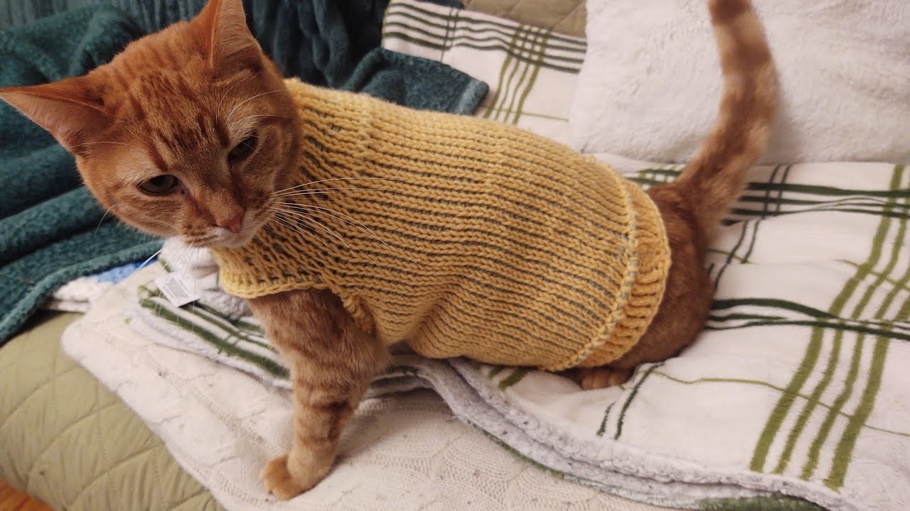 Crochet a cat sweater using the Tunisian knit stitch!