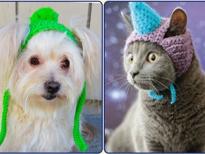 Stylish Cat & Dog Colorful Hat -Trendy Crochet Pattern Designs