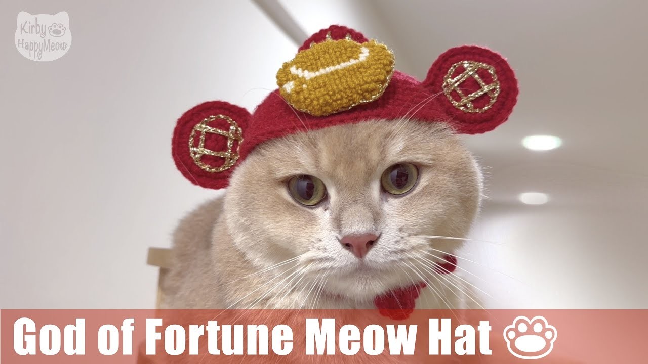 How to Crochet God of Fortune Hat for your Cat for Chinese New Year || Step by Step Tutorial