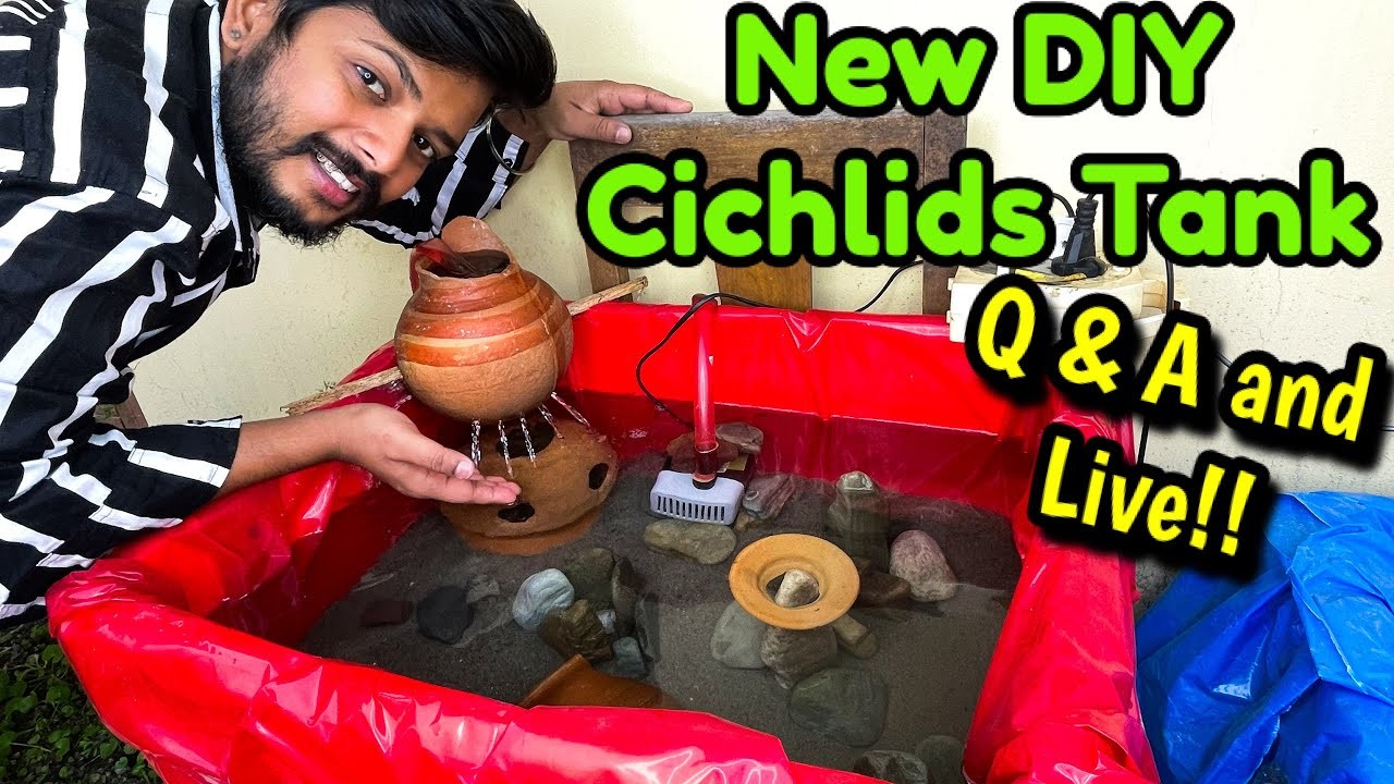 New DIY Cichlids Tank for free of cost ????using River Sand, Stones | My first Q & A and Live Question