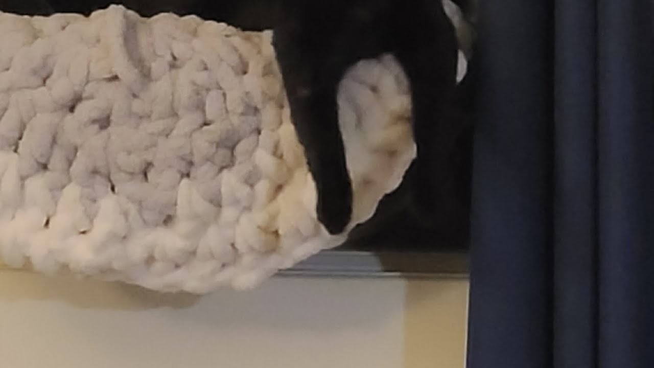 Diy pet bed chunky yarn