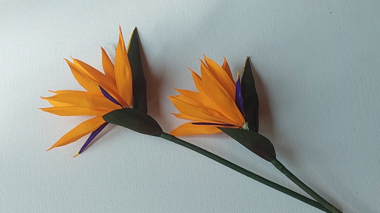 Bird of Paradise Flower Making| Crepe Paper Flower Making| DIY