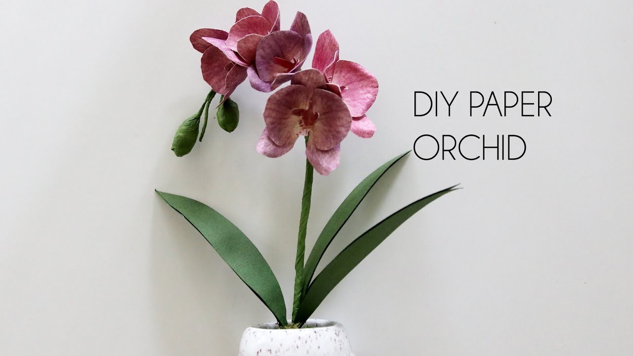 DIY Paper Orchid, How to make paper flower handcut, cricut or silhouette.