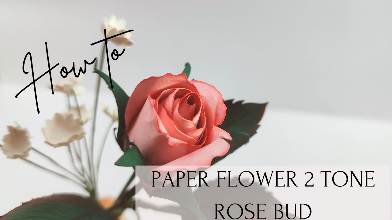 How to Make Easy Two One Rose Bud DIY Paper Flower | DIY Gift Ideas | Bouquet Arrangement | Beginner