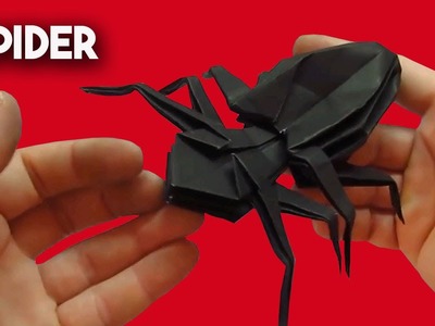 How to Make a Giant Paper Spider Step-by-Step Tutorial | Easy Origami
