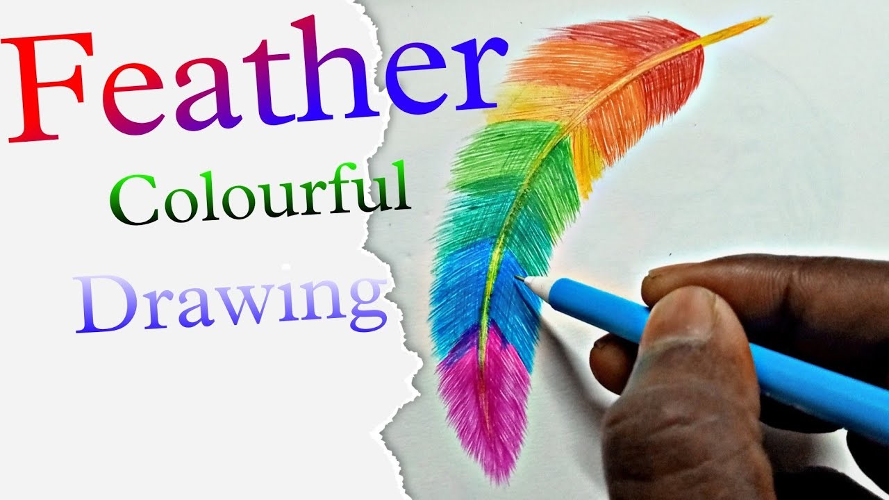 How to draw Feather || Colourful drawing || easy feather drawing || pen art || Rainbow feather