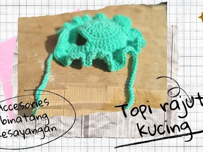 Crochet pet accesories