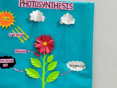 Photosynthesis model for Science Project.Photosynthesis model.Photosynthesis 3D Working model
