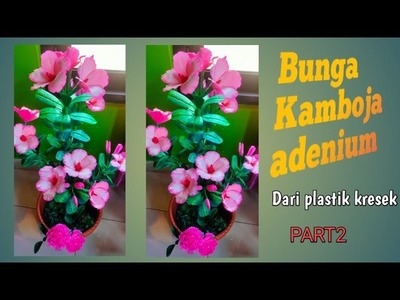 Tutorial Cara Membuat Bunga Kamboja adenium ‼️ How to Make Frangipani from Plastic Bag part2