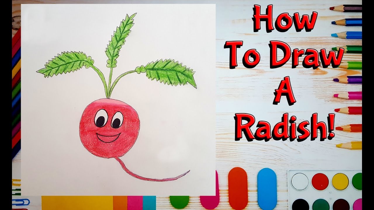 ????How To Draw A Radish! (Art For Kids!) - Easy Step By Step Beginner Art.Drawing Lesson!