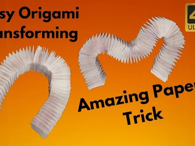 How to do a EASY AND AMAZING PAPER TRICK Origami & Fun  #tutorial #video