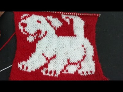 Beautiful dog knitting pattern design for kids