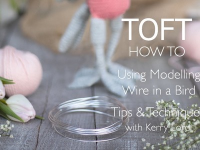 How to Add Modelling Wire to a Bird