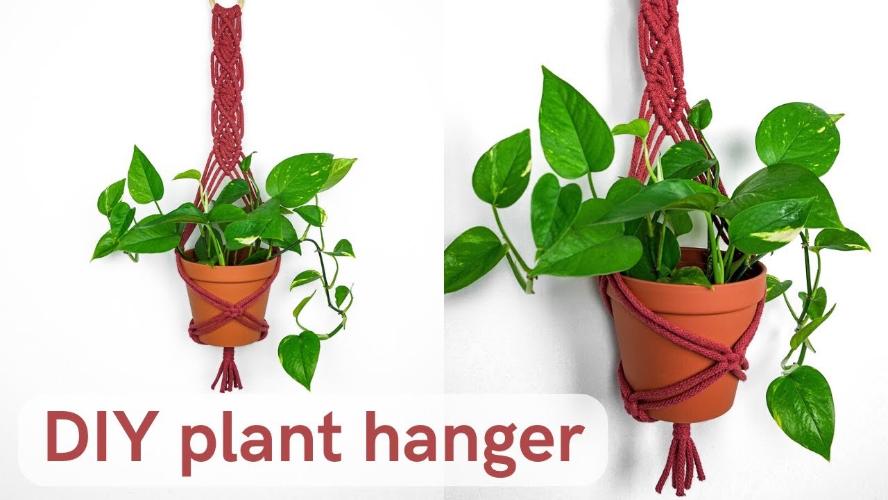 Create Cuteness in Minutes! DIY Plant Hanger Tutorial for Beginners