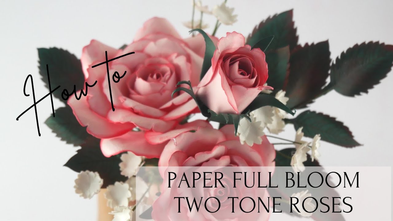 How to make DIY Two Tone Paper Roses using Cardstock Paper | Cricut Paper Project | DIY Paper Craft