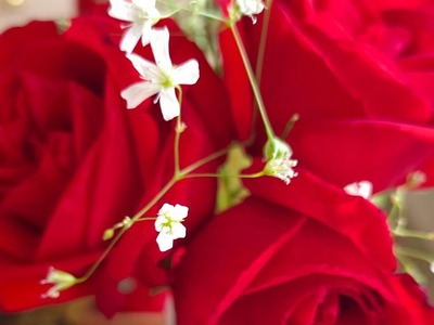 Valentine's day gift | Happy Rose Day 2023 | Rose day gift| Happy valentines day 2023 | diy gift