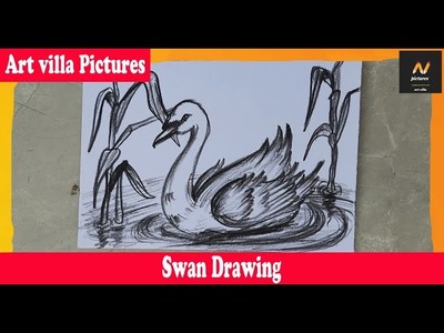 Swan | How to draw a Swan | easy way to draw | Anyone can draw :)