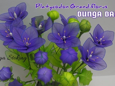 Bunga Balon || Nylon Flower ||Platycodon grandiflorus