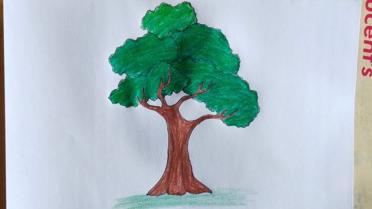 How to draw tree step by step. Tree drawing. @drawingbook3988
