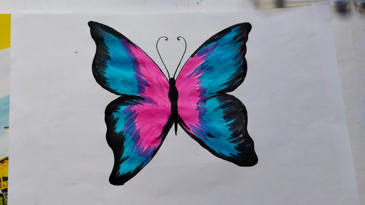 Butterfly drawing ???????? | Butterfly drawing easy | #satisfying #drawing