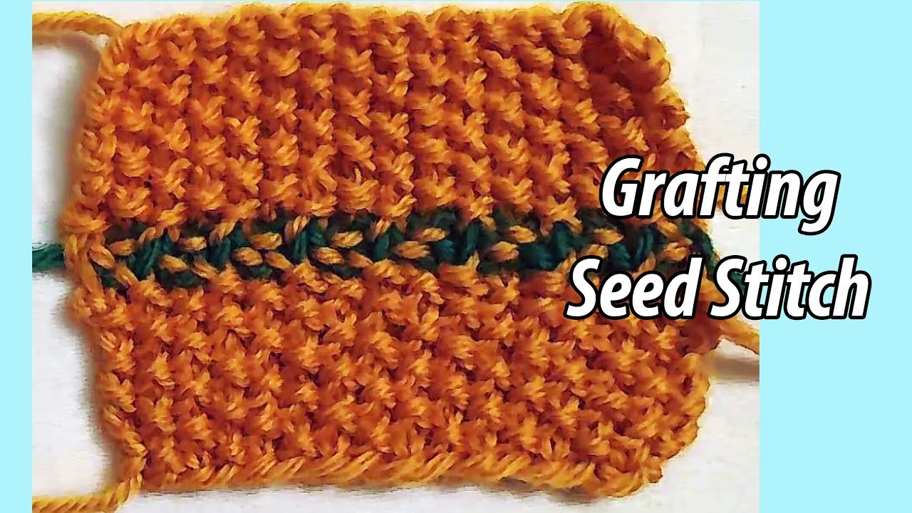 HOW TO: Grafting Seed Stitch
