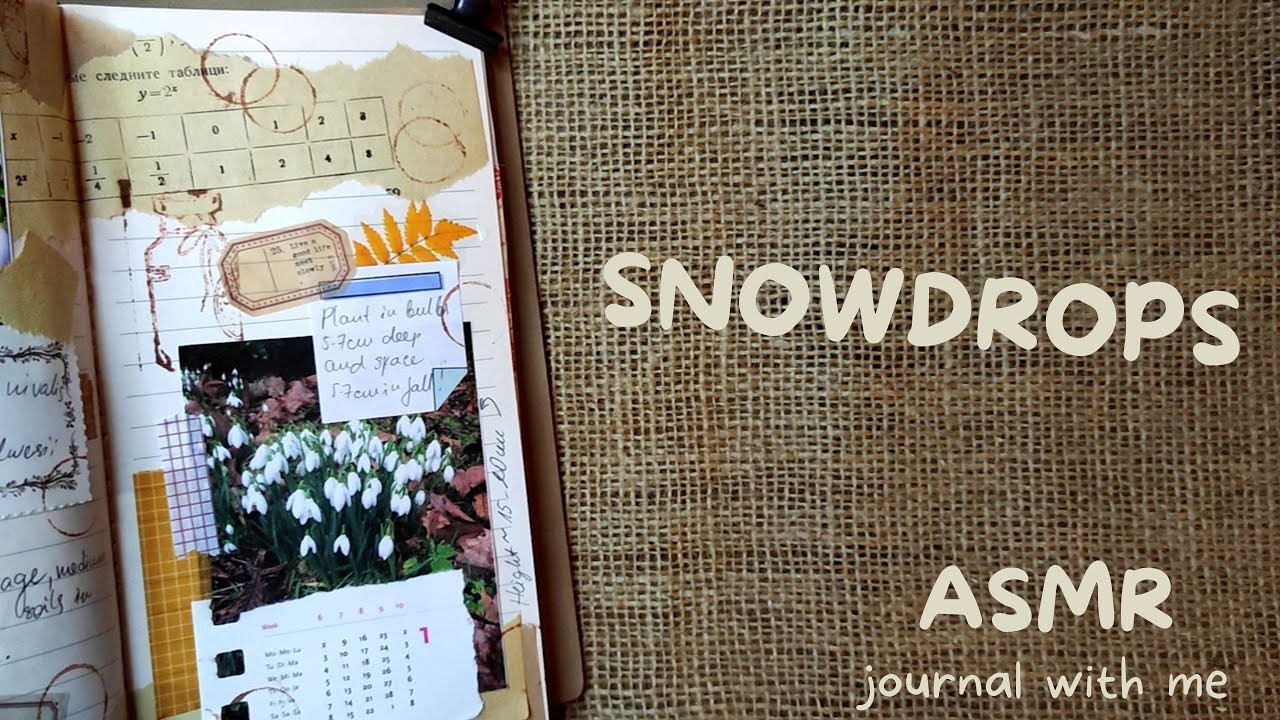 JOURNAL WITH ME  ????  Snowdrop Flowers   ????  ASMR | no talking | no music