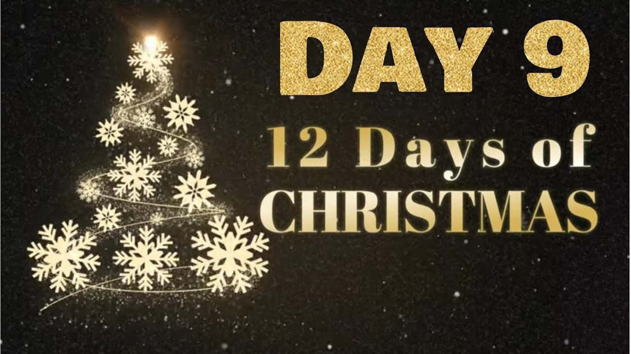 12 Days of Christmas - Day 9 Large Treat Box