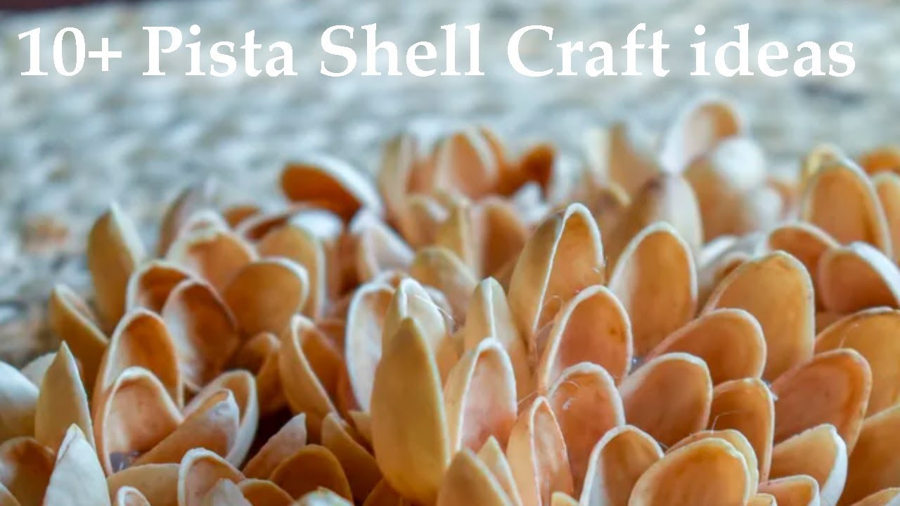 10+ Simple Pista shell Craft Ideas That Can Be Made Quickly !!!