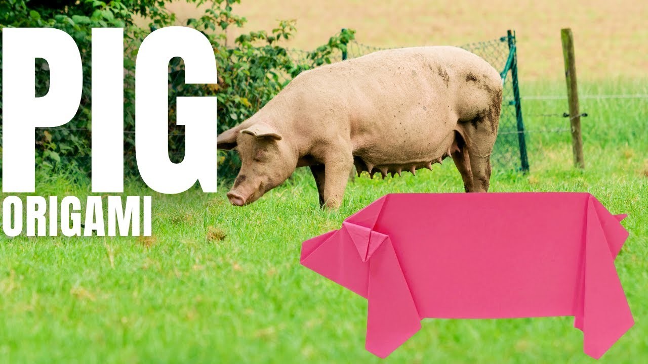 Easy Pig Origami Tutorial for Kids and Beginners