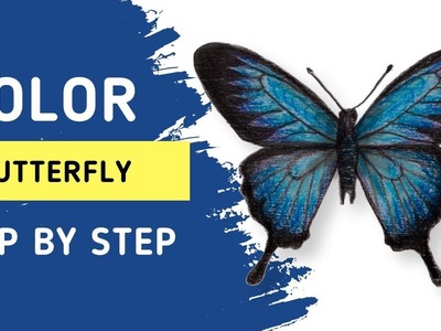 How to color a butterfly easy |step by step| PART 2