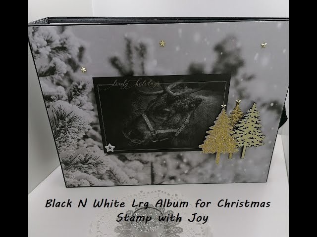 Large Black and White Christmas  Album pt 3