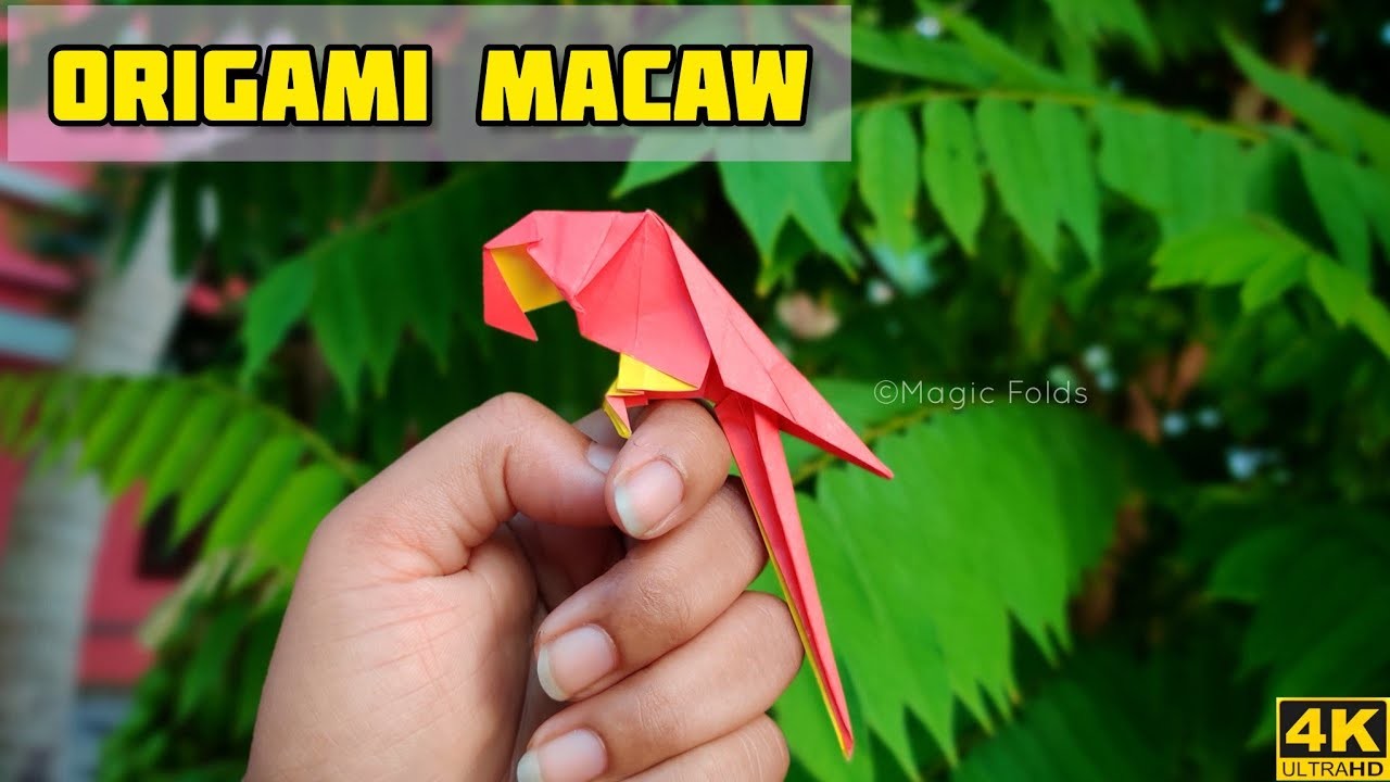 Origami Macaw | Origami tutorial | Paper craft