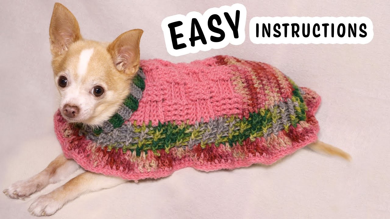 How to crochet a dog sweater | Last Minute Laura