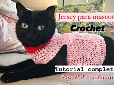 Jersey para mascotas a ganchillo.crochet, especial San Valentín! Video tutorial completo! ????