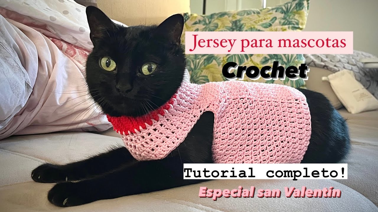 Jersey para mascotas a ganchillo.crochet, especial San Valentín! Video tutorial completo! ????