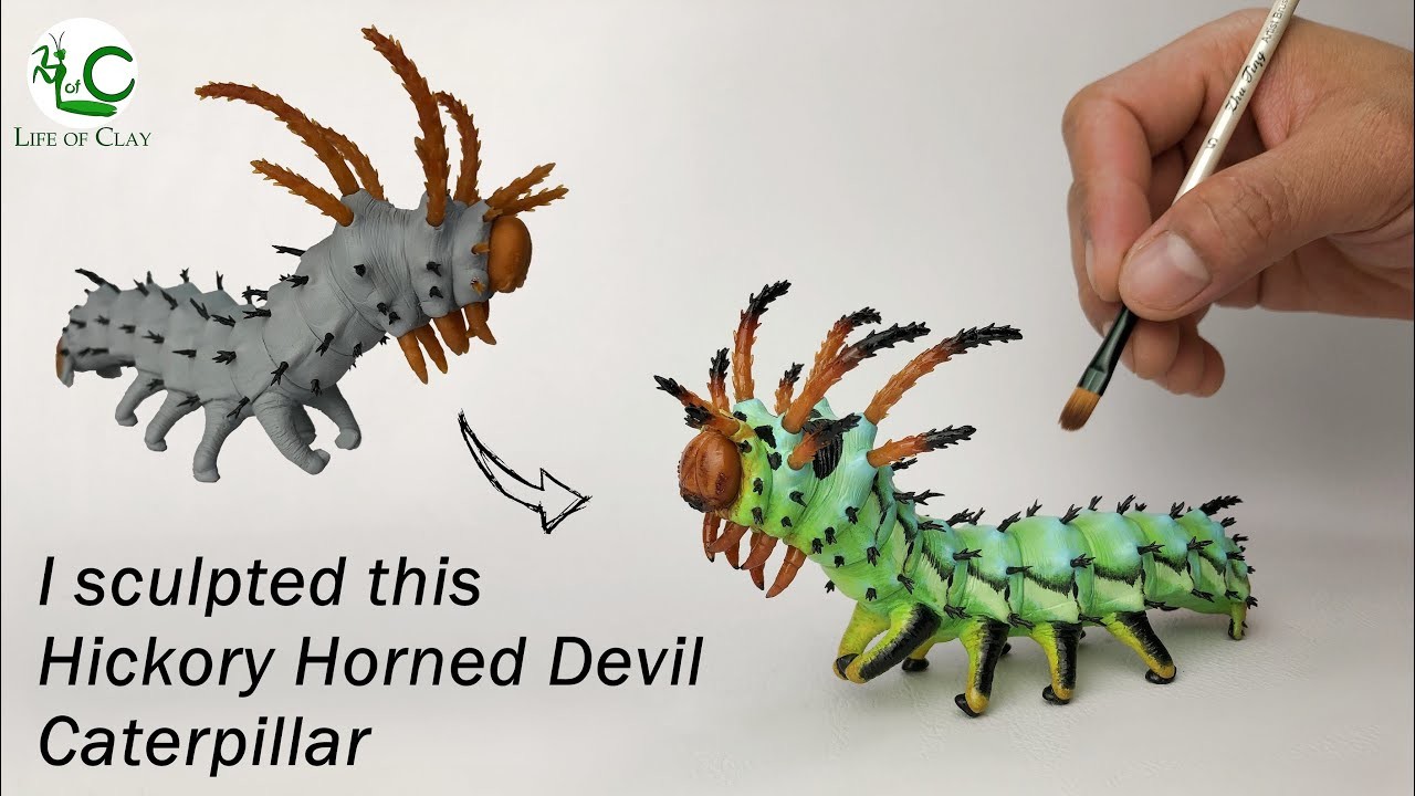 Sculpting a Caterpillar The Hickory Horned Devil  – Citheronia regalis - @LifeofClay