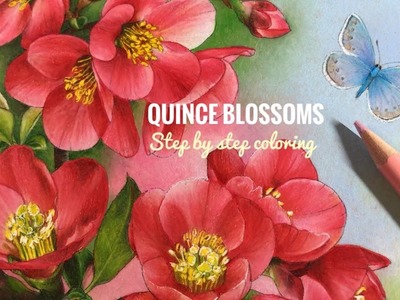 SPRING - Quince Blossoms | Step by Step Coloring. Chris Cheng